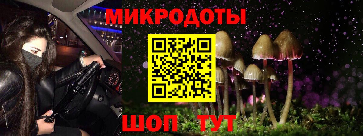 ГАШ Каменск-Уральский